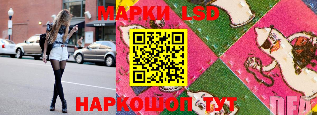 Наркотические марки 1500мкг Кингисепп