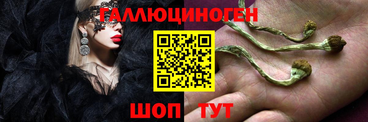Псилоцибиновые грибы ЛСД  Вход с VPN  закладки  Кингисепп 